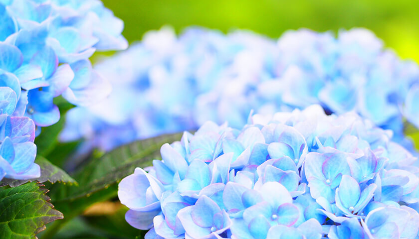 74Фε㡣Τդ뤨ˤʤ뤬Ǥ򤹤᤿ۤ褤¤äƤ