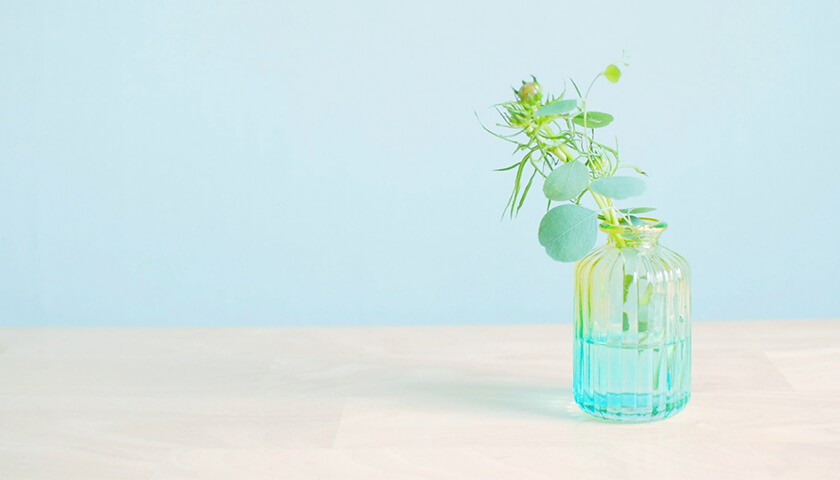 ��ǯ�����顢����β�ʪ�򿩤٤�ȸ����椬���椯�ʤ롣�ɤ��н褷����褤���Τꤿ��