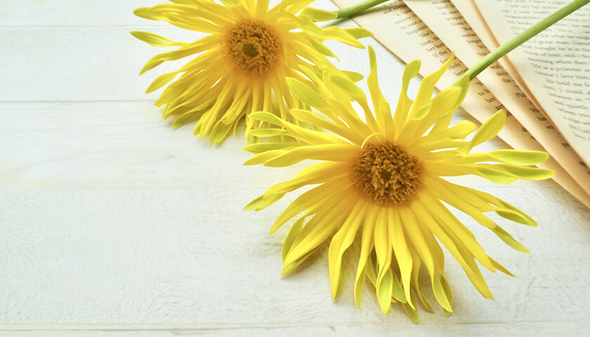 ��Υ����ư̮����Ĥ��ä����ɤΤ褦�ʾ��֤���Ѥ�Ŭ����