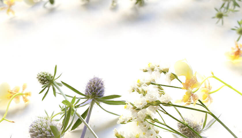 ʹּŲɡפȿǤ줿ѤϸƤ٤