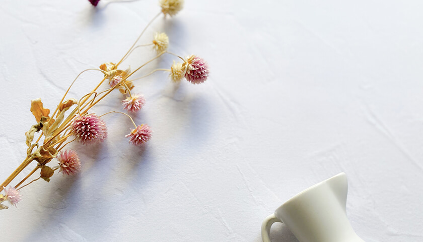 뤮ߤ14©ҡޱĲѤۤ褤