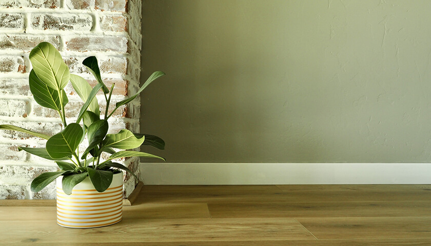 ֤ȯդδȤ԰¡ɤʼŤԤ롩