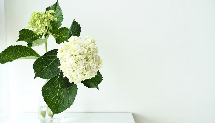 ƻإ˥ѤƤ뤬ɾʤѤβǽϤ롩