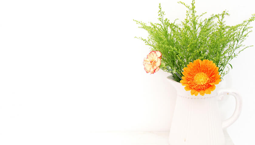 ढӾ׿說󡣶ۤ¤說ܼ路Ƥ̤Ʊ