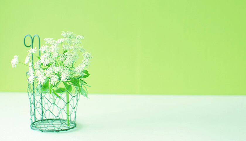 ʢˤĤŤĲƼפȿǤ줿ɤΤ褦µ ȯβǽϡ