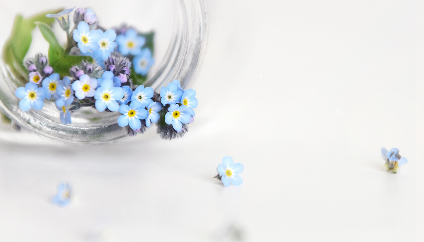 ɡΤߤˤߤĤŤǤʤۤɤǤϤʤǤۤ褤