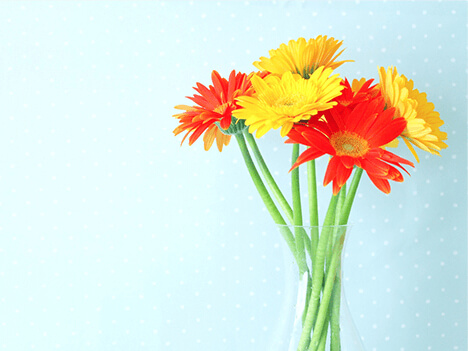 ����ˤ���ߤ��֤ߤ�ȯ������Ȥ�����˼�ѥ����å��¤ˤĤ����Τꤿ��