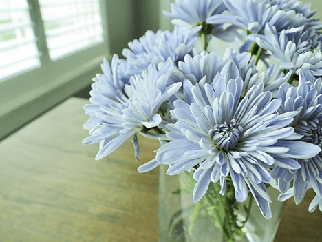 ��Ƭ����¦Ƭ���˻ɤ��褦���ˤߡ��ˤߤ����ޤ�ΤǼ��Ǥ��ʤ��Ƥ�����ʤ���