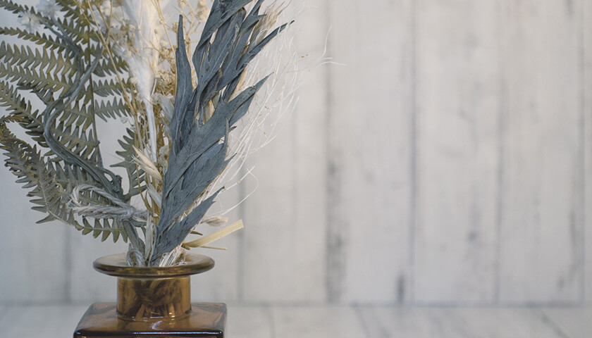 ͧͤޥץ饺ٱˤʤäʤ˲դ٤