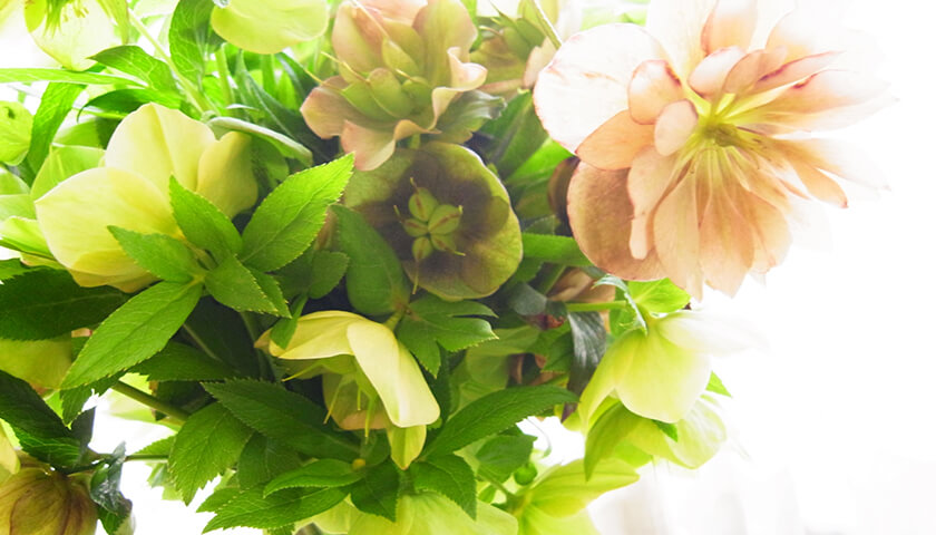 ̼�ˡ־�Ĳ����ư̮�ɸ����פε��������롣�ɾ����Ф䤹�������ߥ󥰤ȡ�����ˡ���Τꤿ��