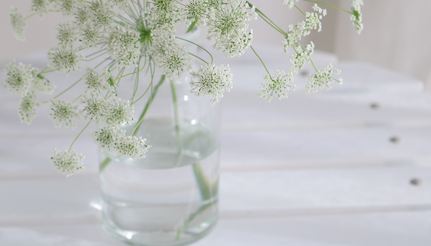 �����ͤޤä����������ꡢ�����㲻�㳲��������İ�ȿ��ǡ���ȯ����İ�Ȥϰ㤦��