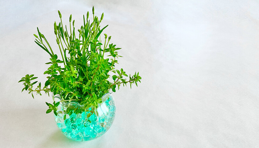 �յ�ǽ�ο��ͤ���������Ǯ�������ȴط����롩